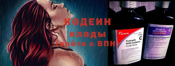 молекула духа Медвежьегорск