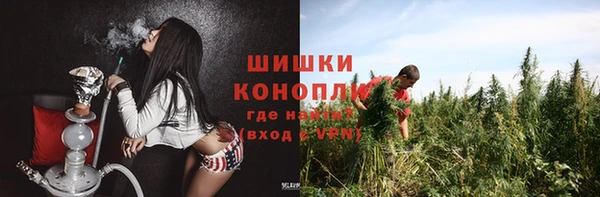 spice Мегион